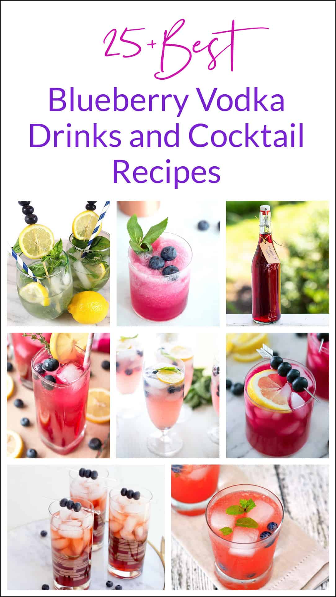 best blueberry vodka drinks and cocktail recipes