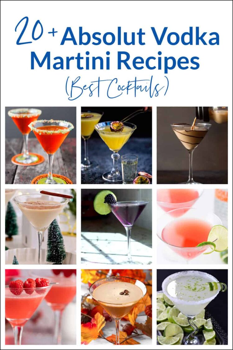 20 Absolut Vodka Martini Recipes Best Cocktails 