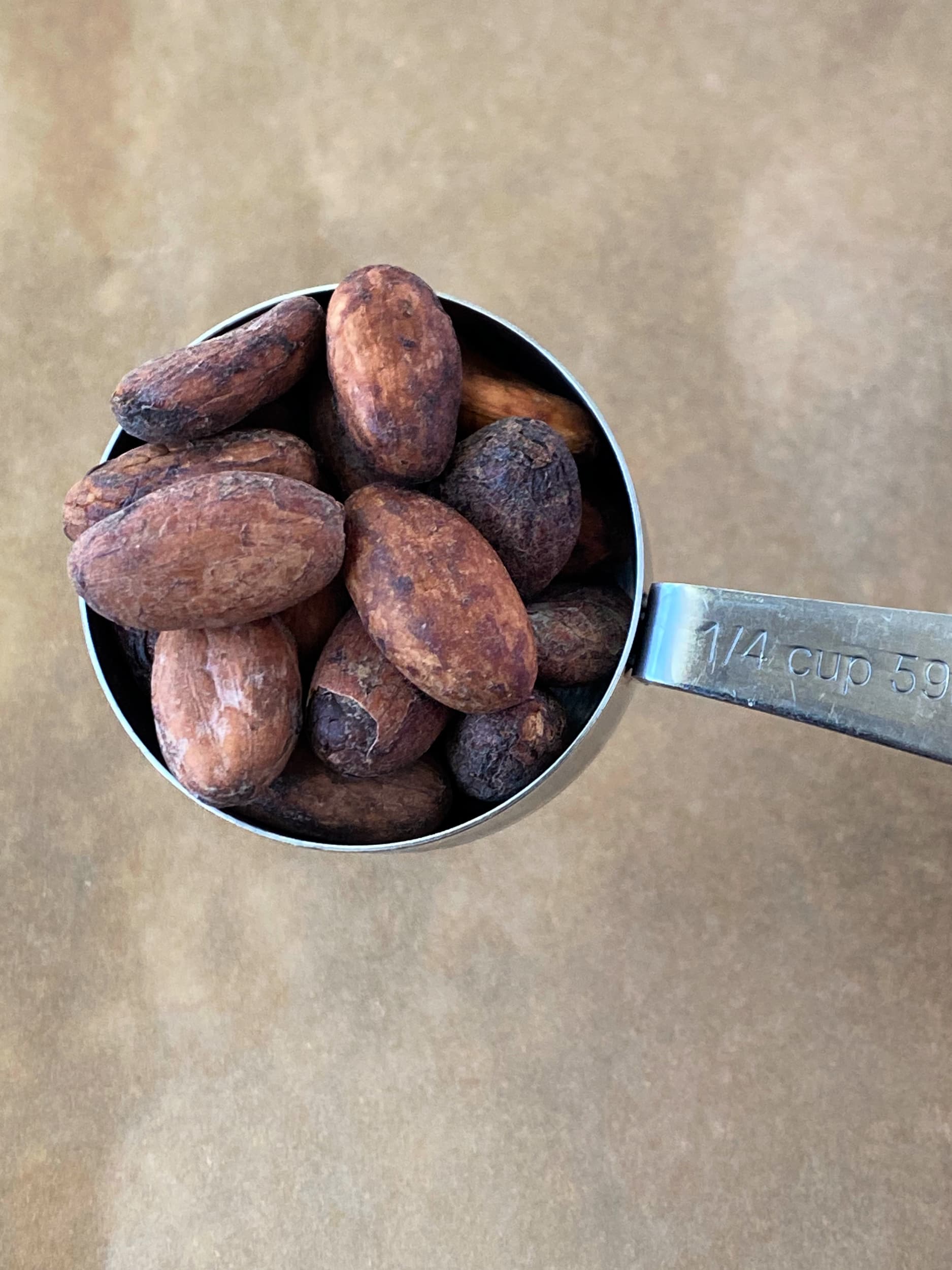 raw cacao beans 